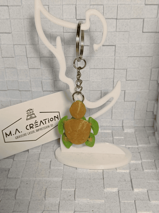 Tortue Marine